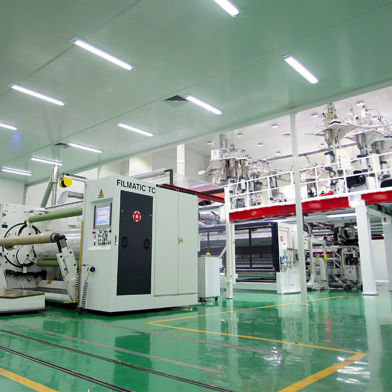 德国W&H十一层流延机